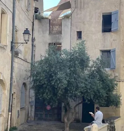 Cosy Au Cœur De L’écusson Apartamento Montpellier