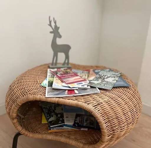 Cosy Au Cœur De L’écusson Apartamento Montpellier