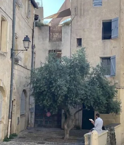 Cosy Au Cœur De L’écusson Apartamento Montpellier
